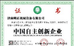 中国自主创业企业